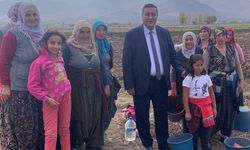 Tarım sektöründe istihdam azaldı