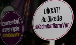 Yılın ilk 7 ayında 227 kadın öldürüldü