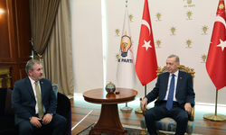 Erdoğan Destici ile görüştü