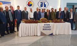 Aydın'da sezonun ilk kestanesi kilosu 350 liradan alındı