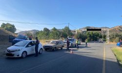 Aydın'da 2 araç sürücüsüne para cezası uygulandı
