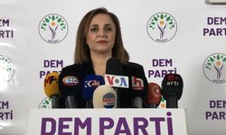 DEM Parti, Aydın ve 4 ilçesinde aday çıkarma kararı aldı