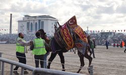 Develer arenada bu sefer sessiz güreşti