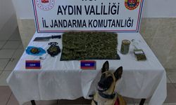 Aydın'da uyuşturucu operasyonları sürüyor