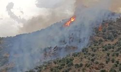 Aydın'da yangın! 3 hektar tarım arazisi küle döndü
