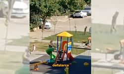 Efeler'de bir şahıs topladığı çöpleri çocuk parkına attı