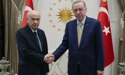 Erdoğan, Bahçeli ile görüşecek