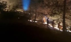 Kuyucak'taki orman yangınında 26 hektarlık alan zarar gördü