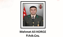 MSB: "Piyade astsubay çavuş Mehmet Ali Horoz şehit oldu"
