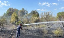 Umurlu'da çıkan yangına Büyükşehir'den hızlı müdahale