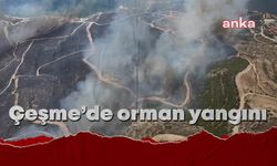 Çeşme'deki orman yangınında 3 kişi öldü