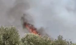 Aytepe’de başlayan yangına müdahale sürüyor