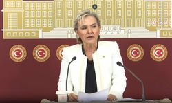 İYİ Parti İstanbul milletvekili Nimet Özdemir partisinden istifa etti