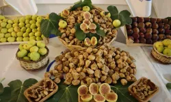 Aydın'da incir ihracatı 140 milyon dolara yükseldi