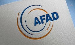 AFAD'dan yangın açıklaması