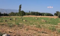 Aydın- Denizli otoyolunun verimli tarım arazisinden geçmesine tepki