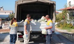 Didim’de belediye tarafından yetiştirilen ürünler ihtiyaç sahiplerine ulaştırılıyor