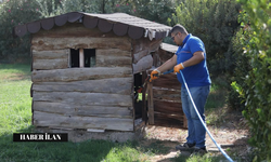 Didim'de ilaçlama çalışmaları aralıksız devam ediyor