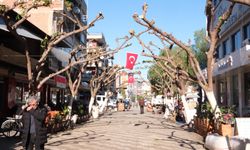 Büyükşehir İncirliova’da ağaçları budadı, vatandaşlar rahat bir nefes aldı