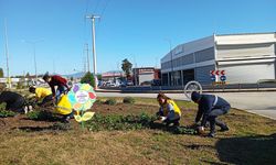 Başkan Çerçioğlu Didim’i rengarenk çiçekler ile süslüyor