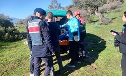 Taş duvardan düşen şahsı jandarma ekipleri ambulansa yetiştirdi