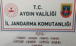 Aydın'da jandarma uyuşturucuya geçit vermedi