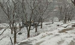 Nazilli'de dağ köyleri beyaza büründü