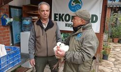 Aydın'da soğuktan etkilenen leylek tedavi altına alındı