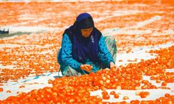 28 Nisan Ölü ve Yaralı İşçiler İçin Uluslararası Anma Günü