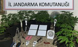 Bozdoğan’da metruk binada uyuşturucu serası ortaya çıkarıldı