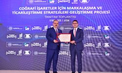 Aydın Memecik Zeytinyağı markalaşma yolunda!