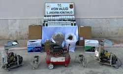 Aydın'da 187 bin adet kaçak sigara ele geçirildi