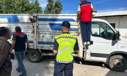 Karpuzlu'da jandarmadan hayvan sağlığı denetimi