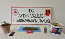 Köşk'te uyuşturucu operasyonu: 1 yakalama