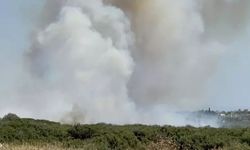 Didim'de peş peşe 2 yangın! Müdahale sürüyor