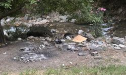 Efeler'de ormanlık alanda mangal yakan kişilere ceza!