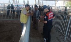 Çine jandarmasından hayvan pazarında güvenlik denetimi