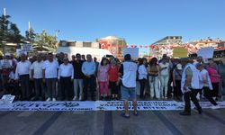 Aydın'da bir araya gelen çevreciler 'Zeytinime dokunma' dedi!