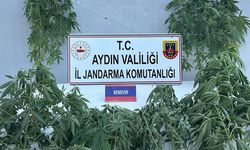 Aydın’da uyuşturucu operasyonu: 16 şüpheli yakalandı!