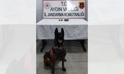Germencik gişelerinde uyuşturucu operasyonu