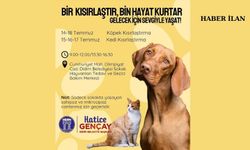 Didim Belediyesi'nden sokak hayvanlarına ücretsiz kısırlaştırma etkinliği