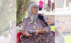 Aydınlılar hayatlarından memnun mu?