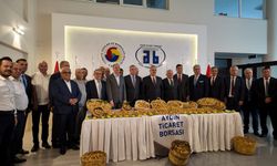 Aydın'da kuru incir sezonu açıldı