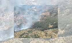 Germencik’te orman yangını!