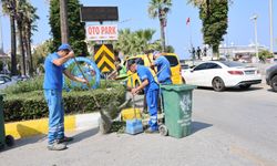 Başkan Çerçioğlu’nun çalışmaları ile kazanan Sökeliler oluyor