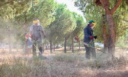 Didim Belediyesi'nden çevreye farkındalık etkinliği