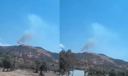 ADÜ'nün arkasındaki dağlık alanda yangın çıktı