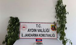 Aydın'da uyuşturucu operayonunda 13 şüpheli yakalandı
