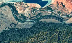 Akbelen'de zeytin ağaçları sökülmeye başlandı!