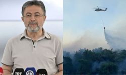 Bakan Yumaklı: "Çine yangınının enerjisi düşürüldü"
